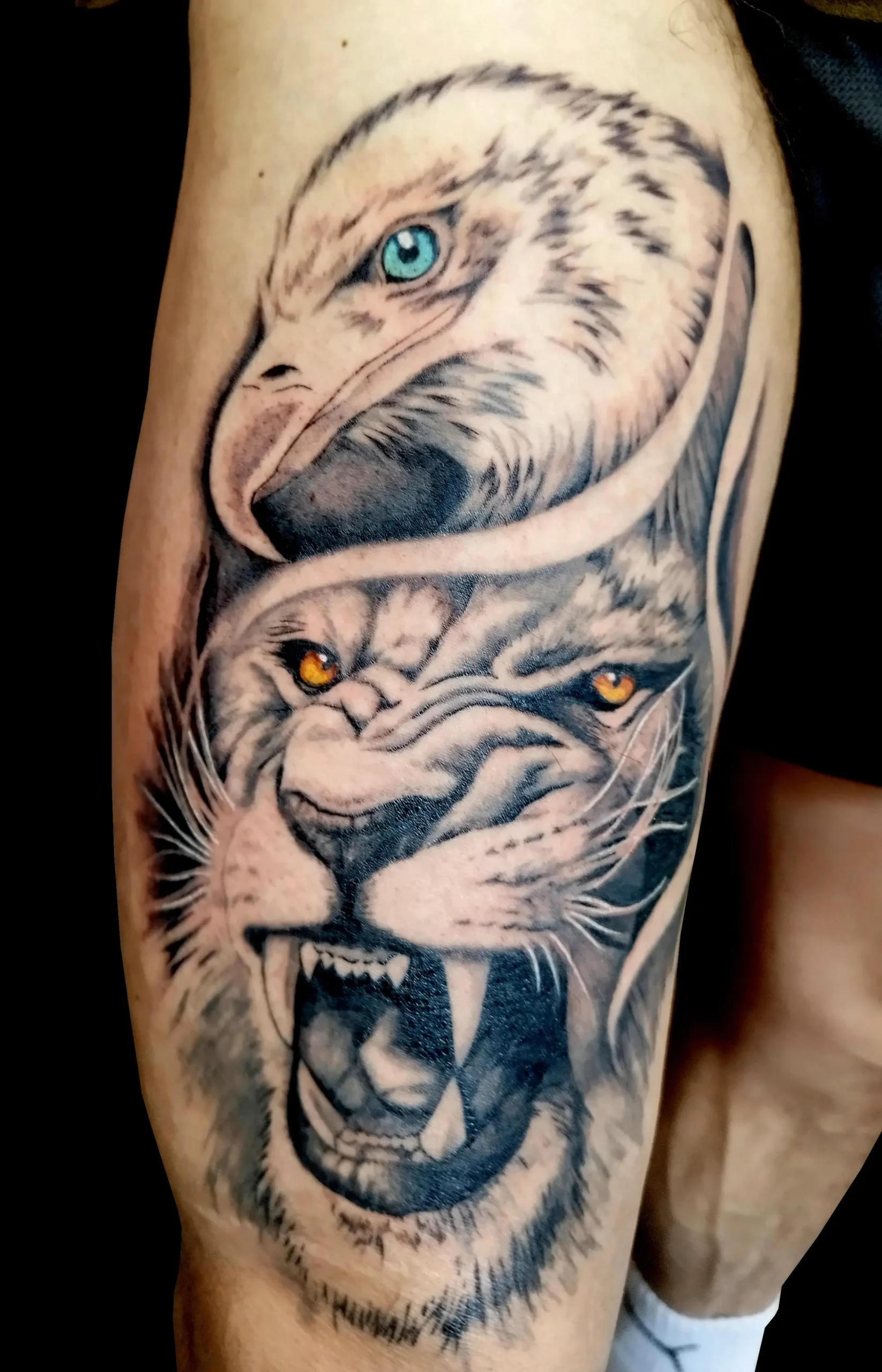 tattoo Sylvain