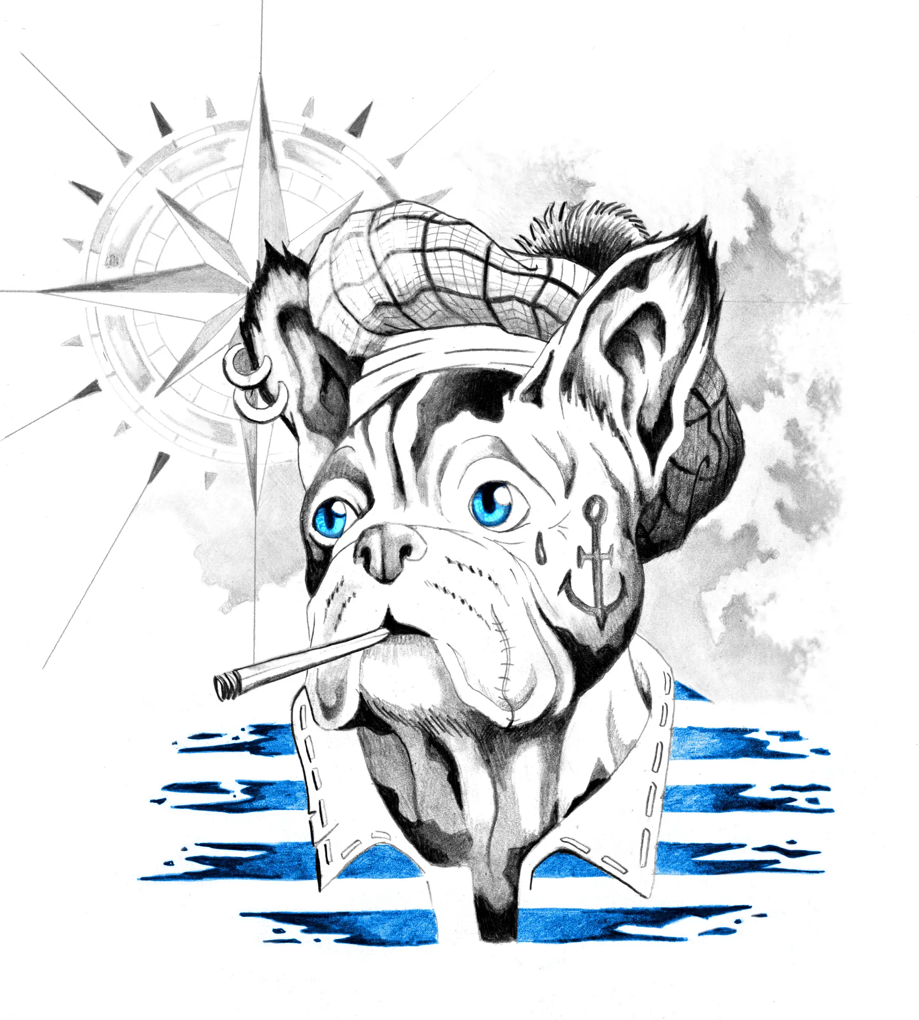 Bouledogue marin-Dessin Sylvain