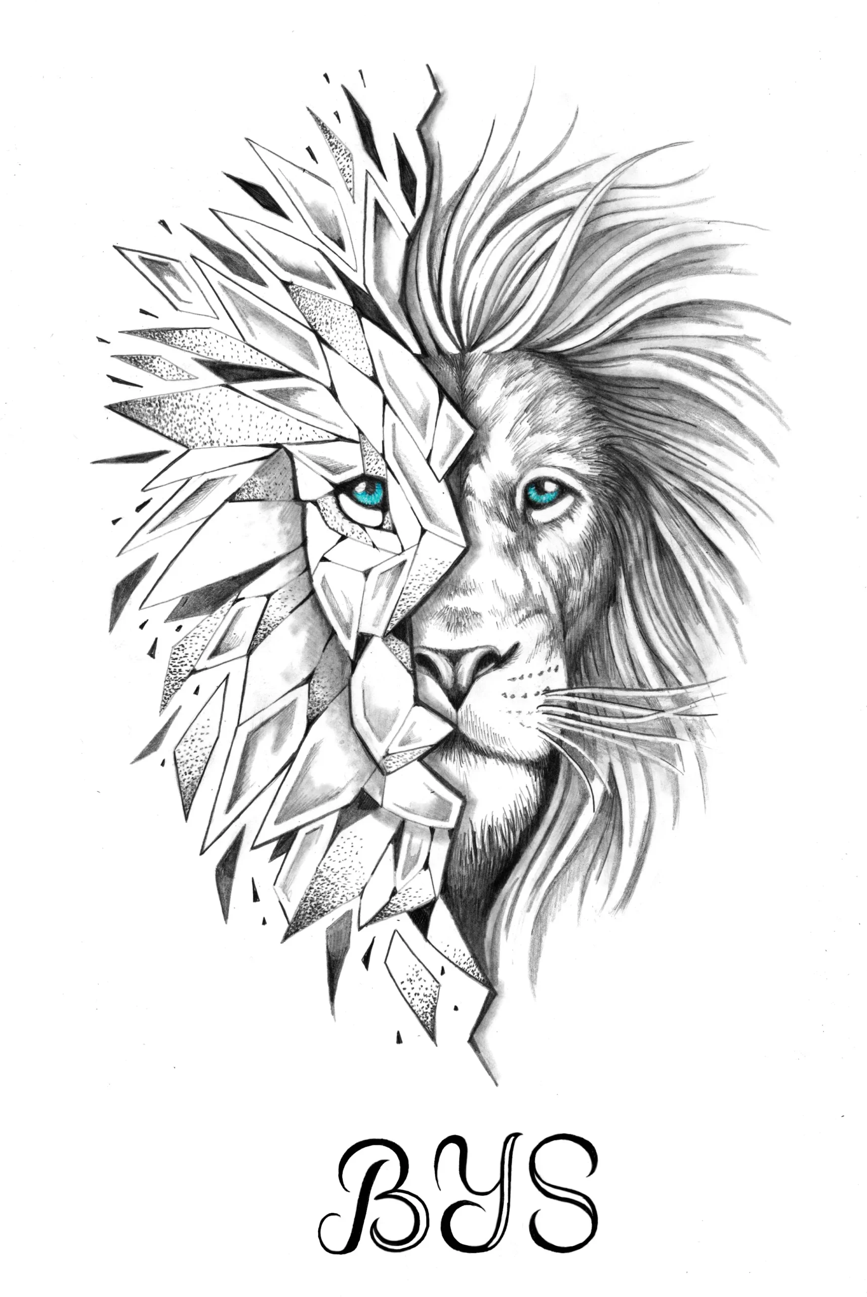 LION-Dessin Sylvain