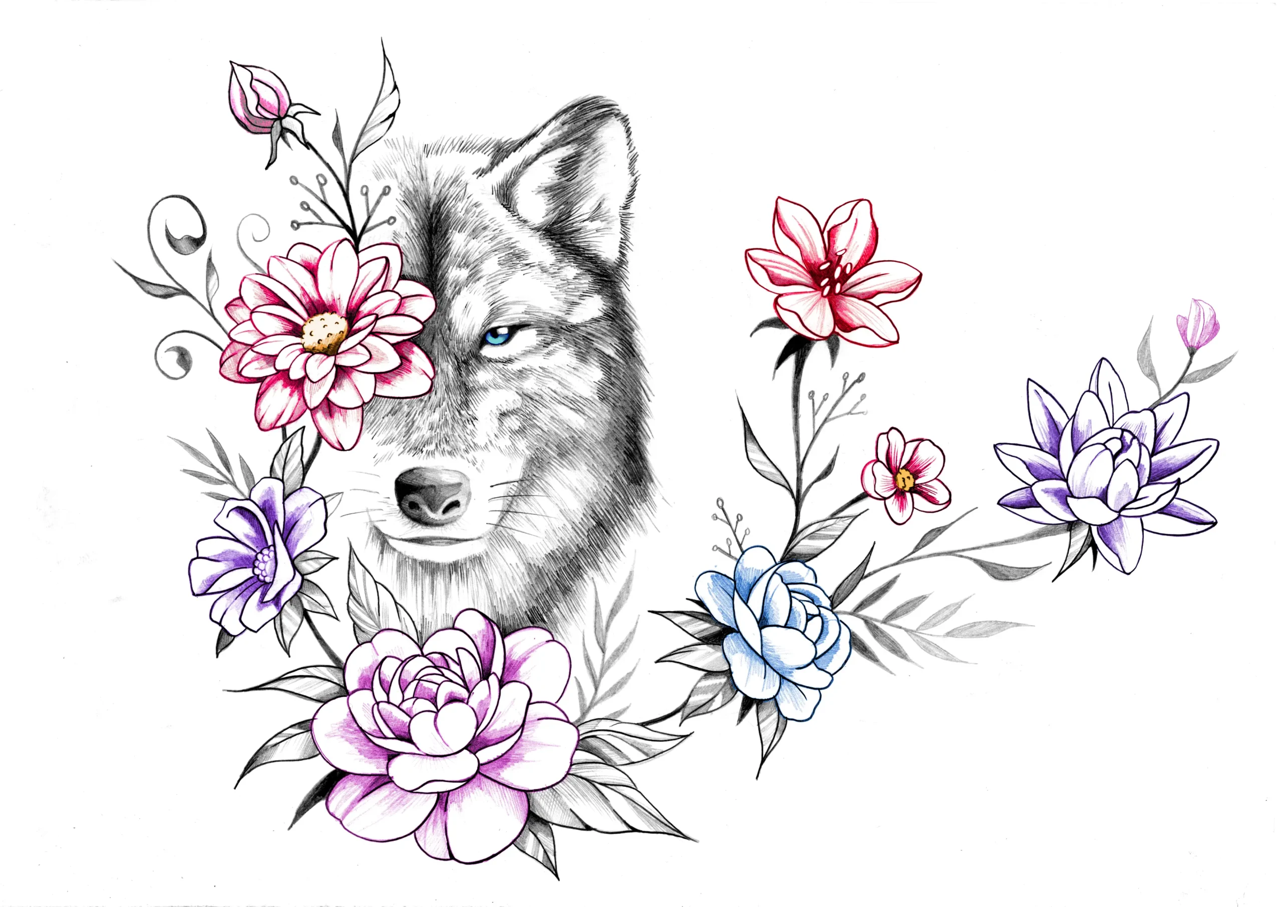 LOUP ET FLEURS-Dessin Sylvain